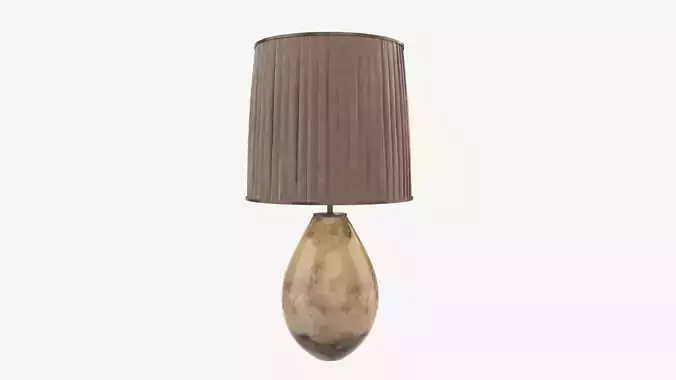 Desk lamp with lampshade