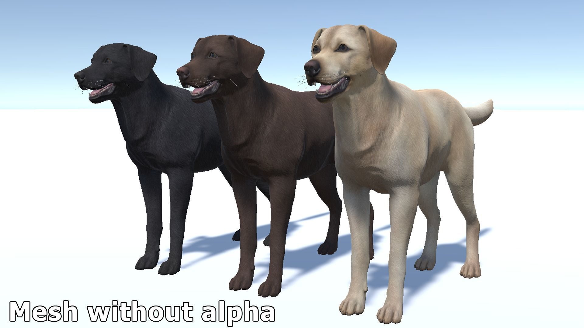 Dog - Labrador Low-poly 3D model_12
