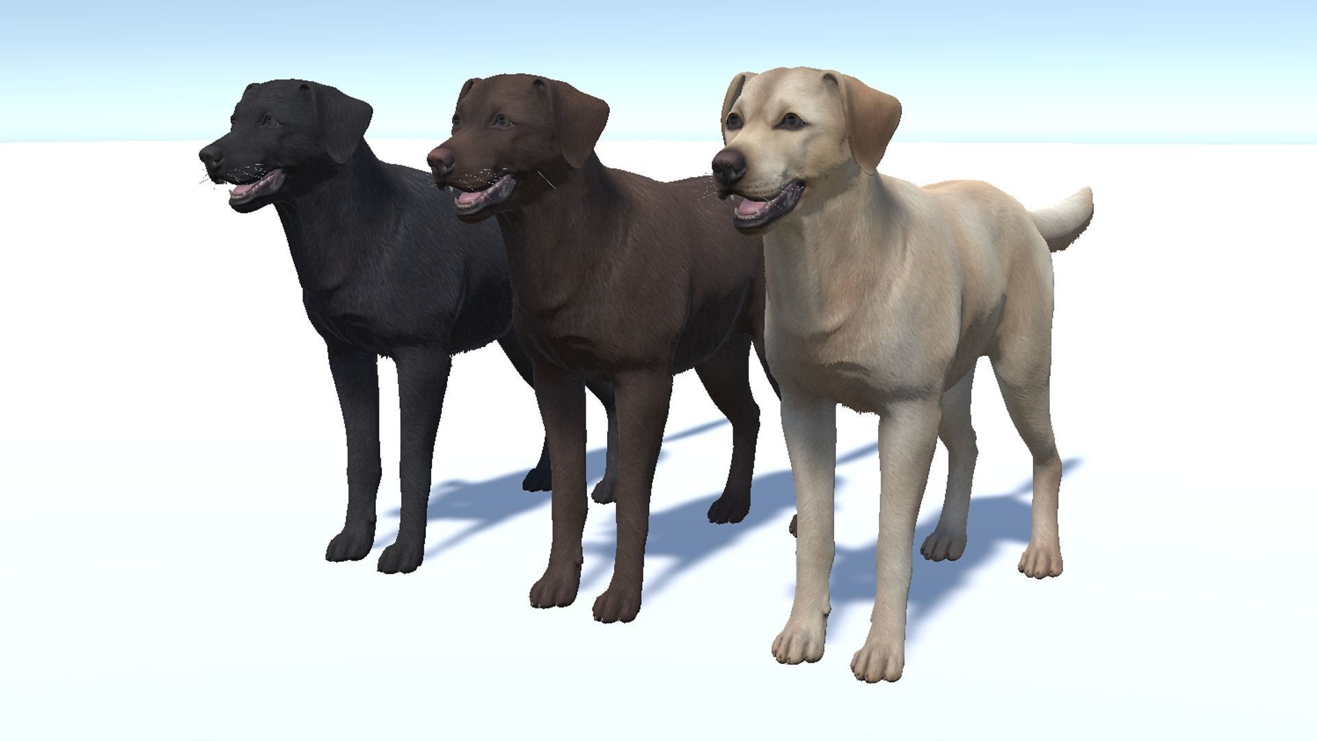 Dog - Labrador Low-poly 3D model_7