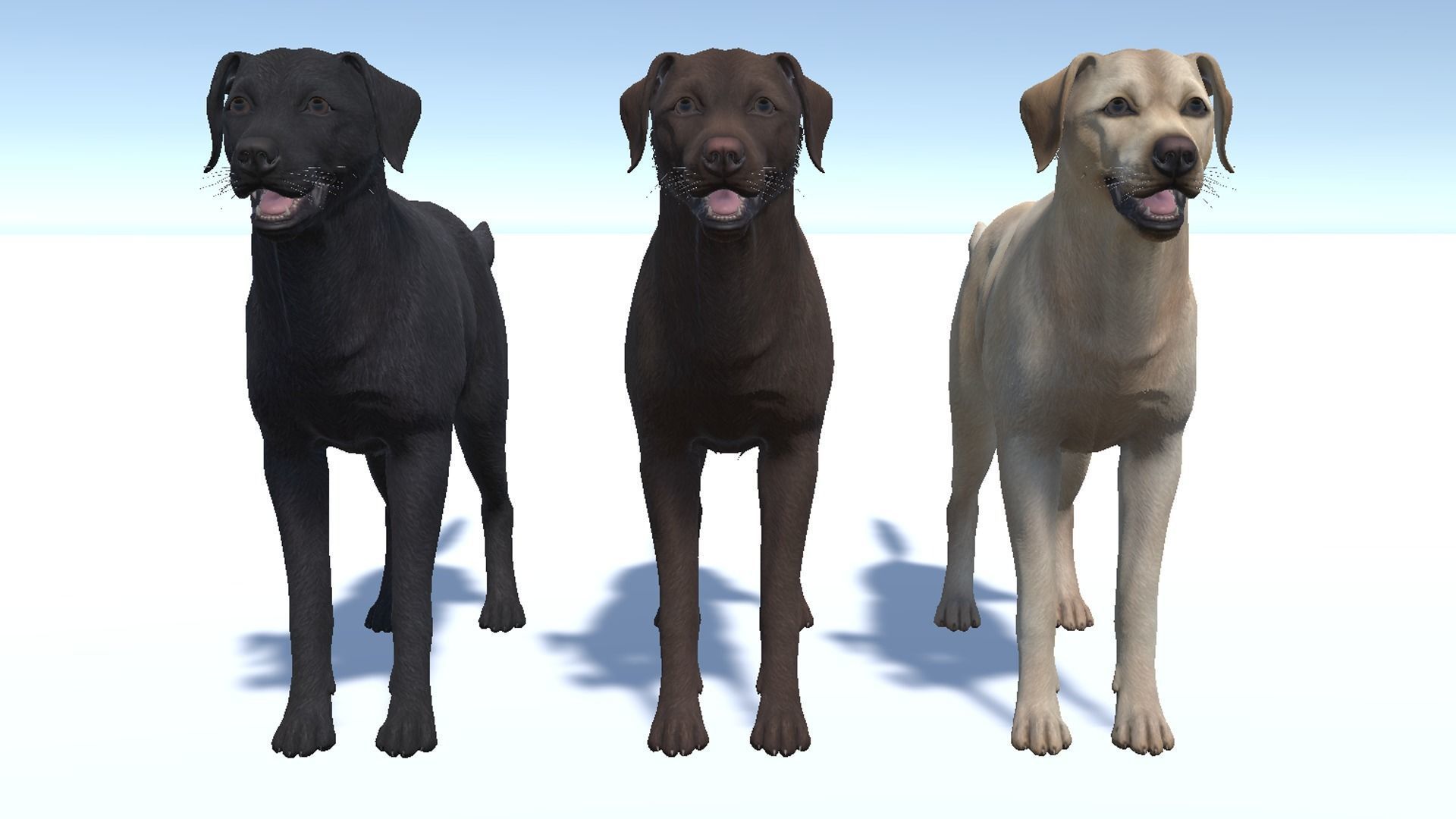 Dog - Labrador Low-poly 3D model_8