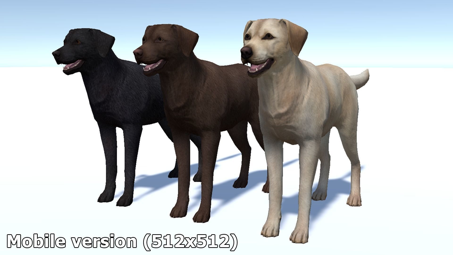 Dog - Labrador Low-poly 3D model_13