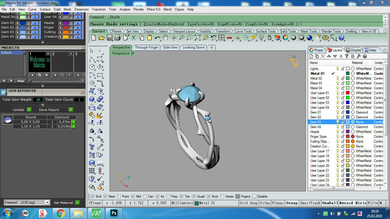 ring sprig branch 3D print model_15