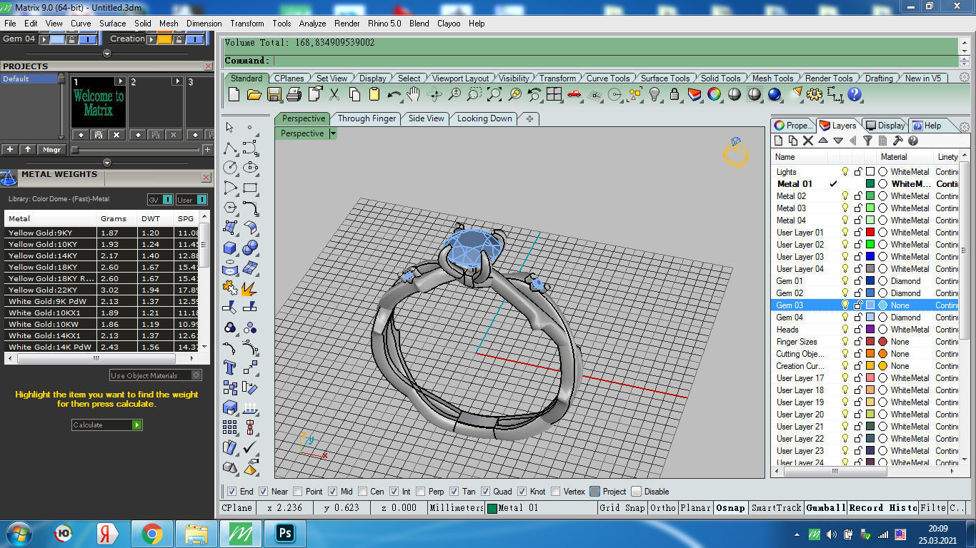 ring sprig branch 3D print model_14