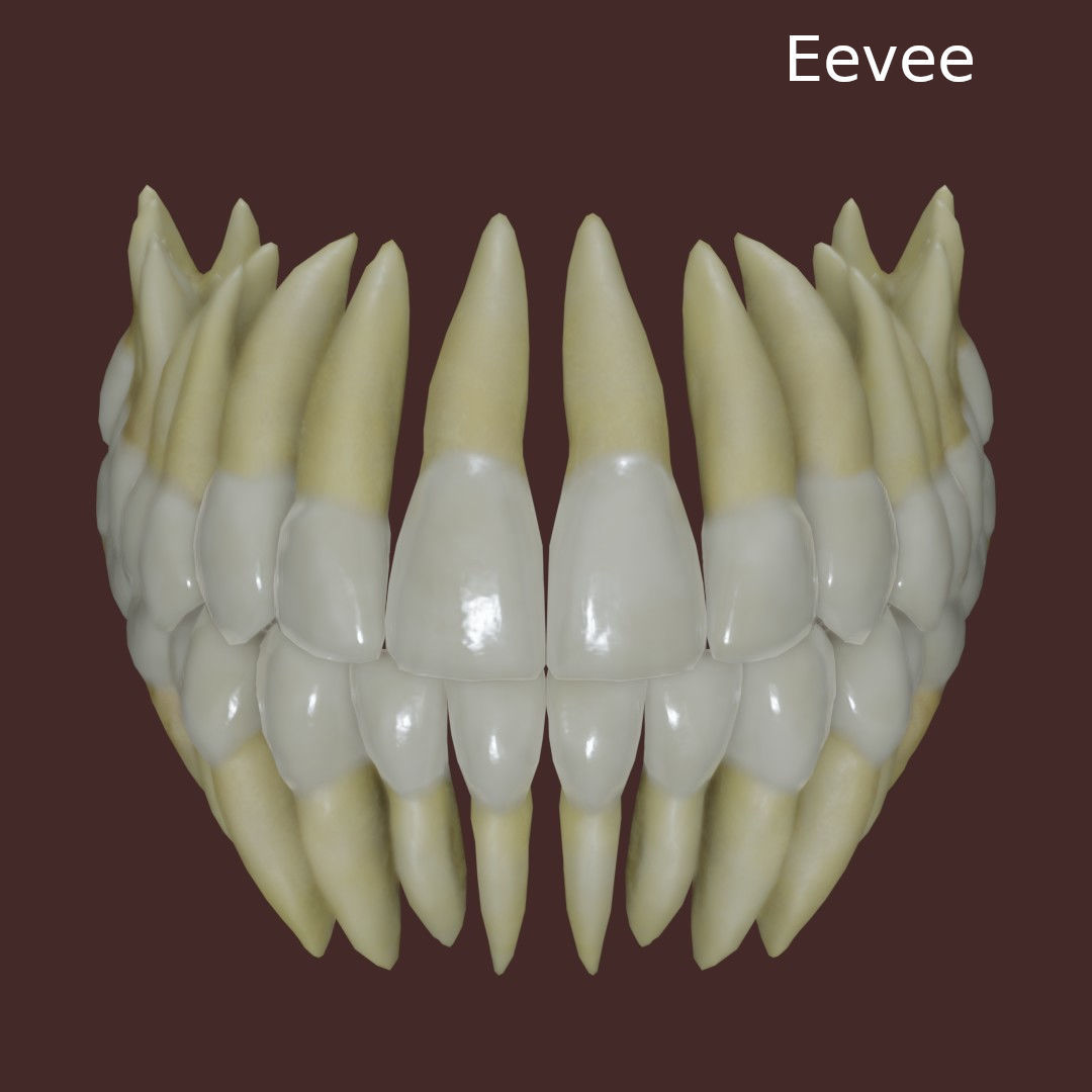 Teeth Low-poly 3D model_6