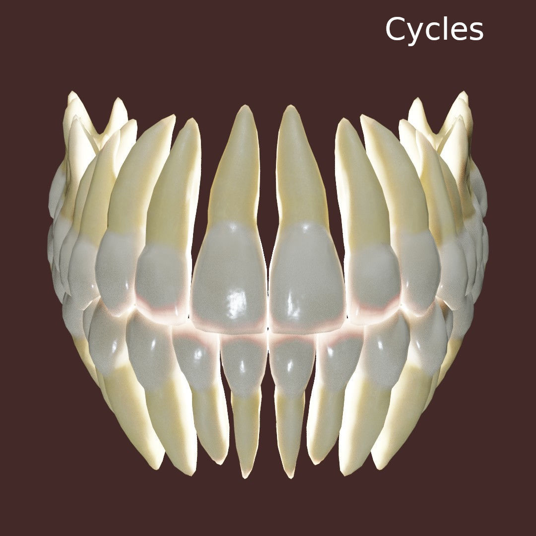 Teeth Low-poly 3D model_5