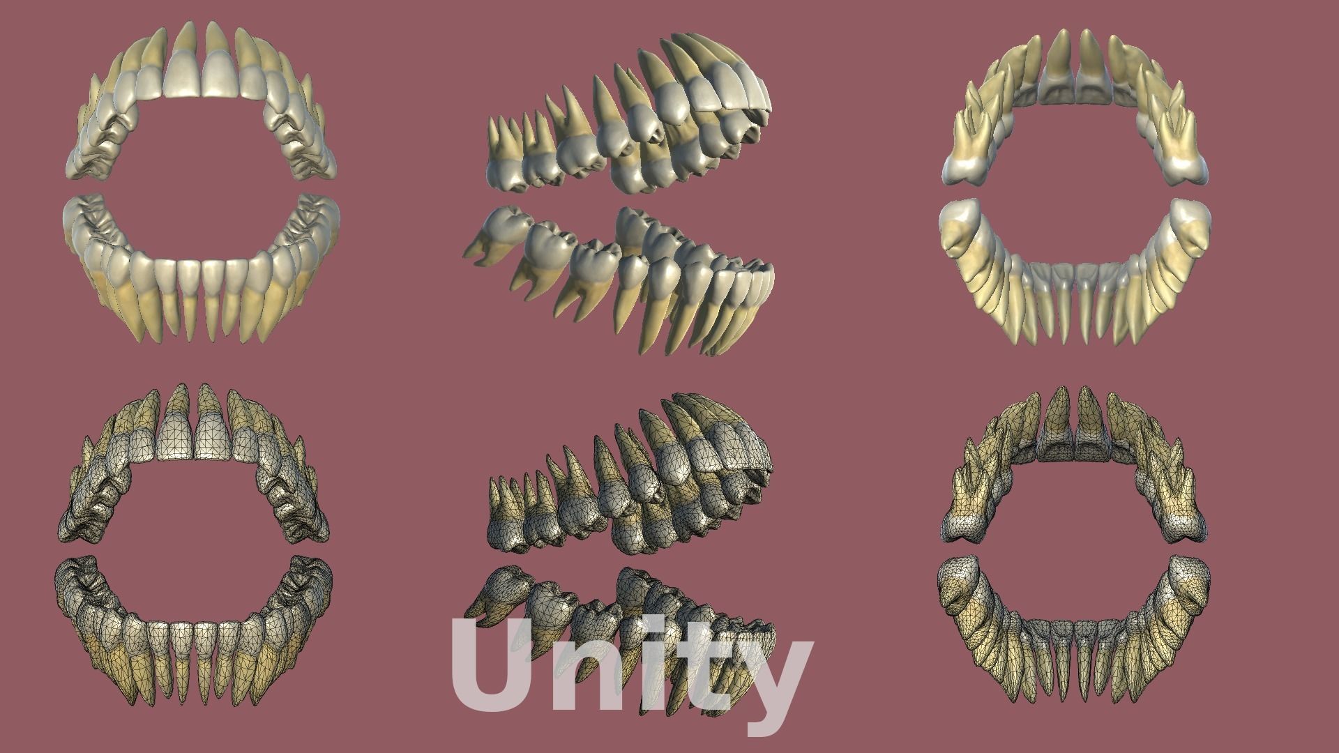 Teeth Low-poly 3D model_10