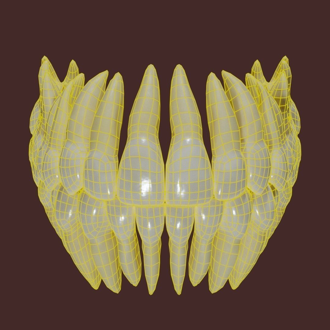 Teeth Low-poly 3D model_4