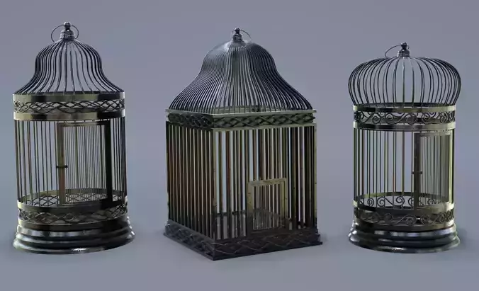 Bird cage Collection