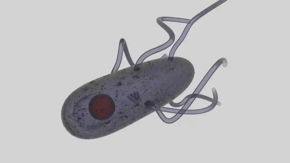 Bactery eukaryotic cell with eye Low-poly 3D model