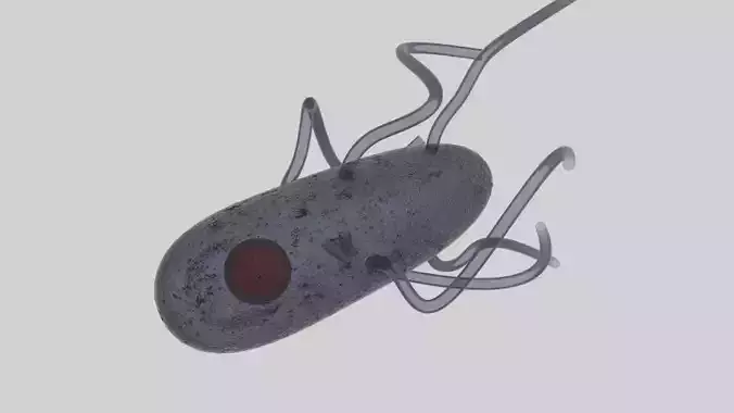 Bactery eukaryotic cell with eye