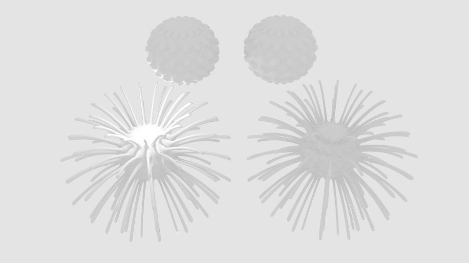 Virus cell 3D model_4