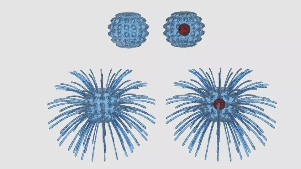 Virus cell 3D model_0