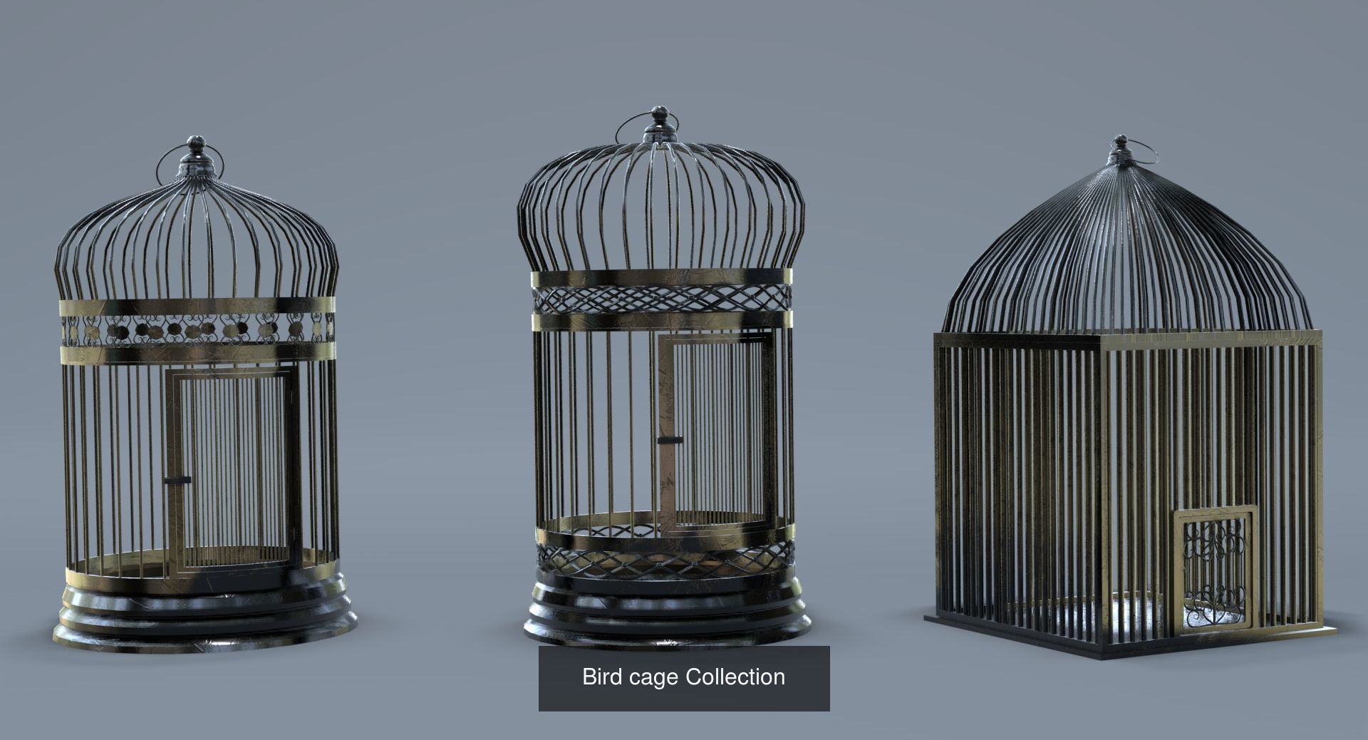Cage Bird Collection _1