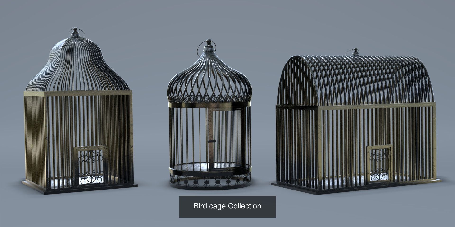 Cage Bird Collection _3