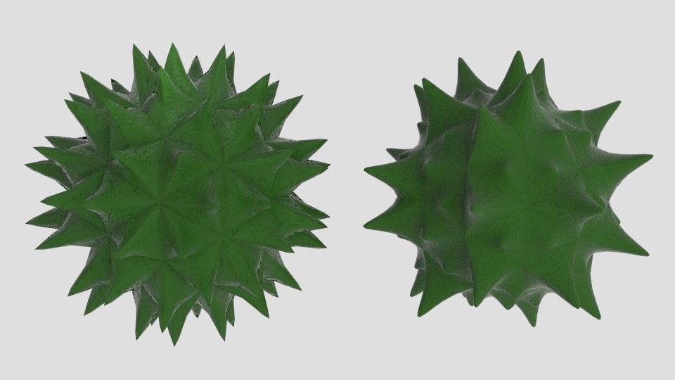 3D Germ spike Low-poly 3D model_3