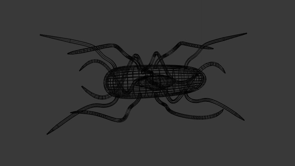 Bacteria spider 3D model_5
