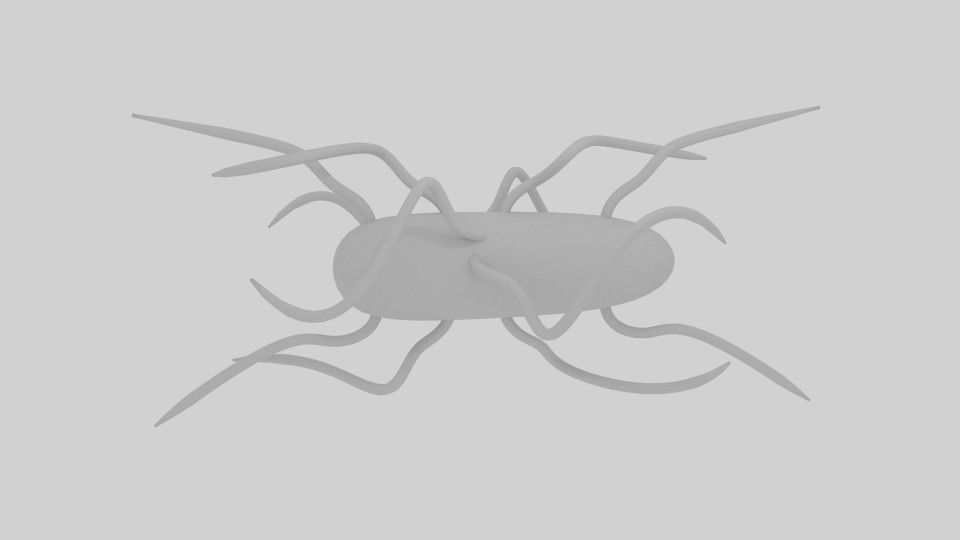 Bacteria spider 3D model_4