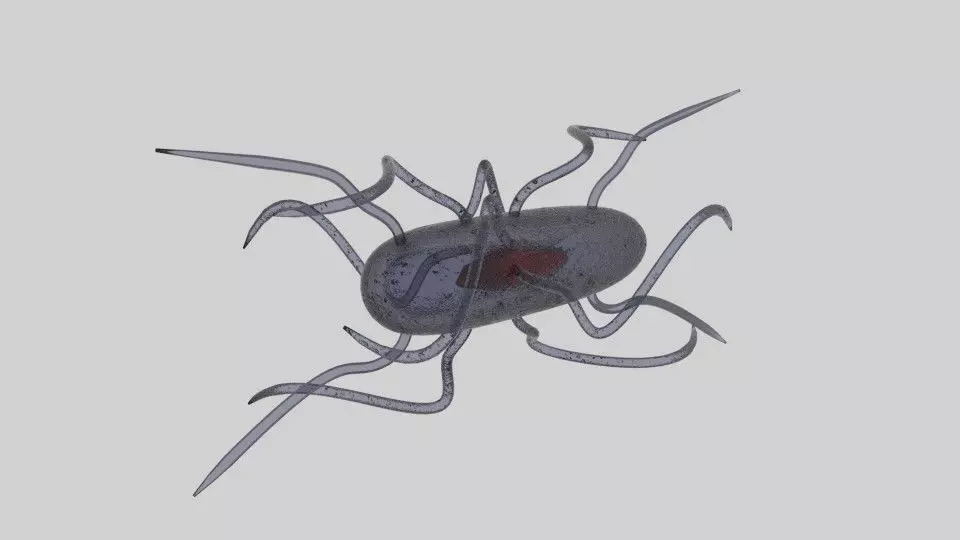 Bacteria spider 3D model_0