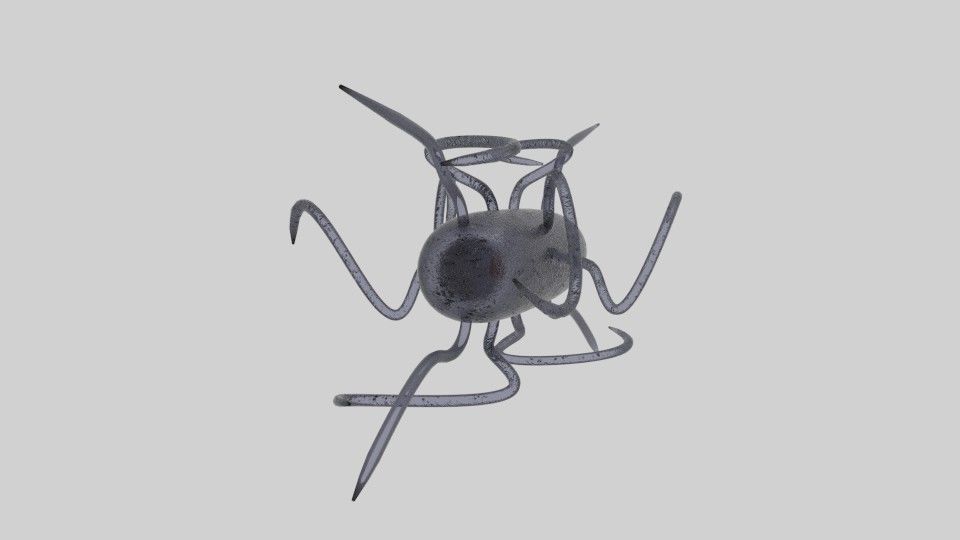 Bacteria spider 3D model_1