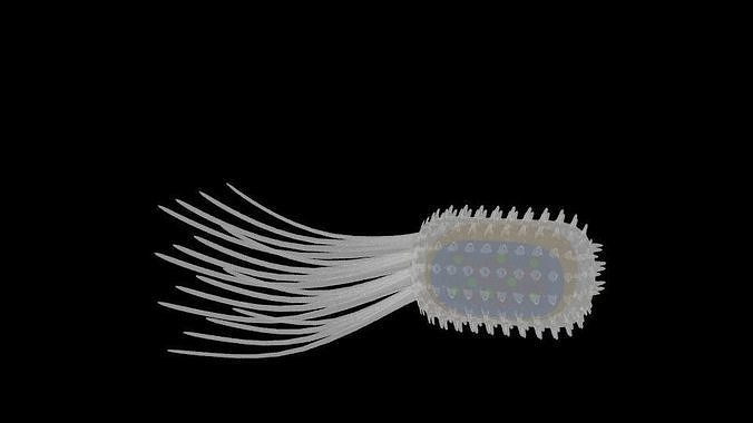  Germ Intruder 3D model