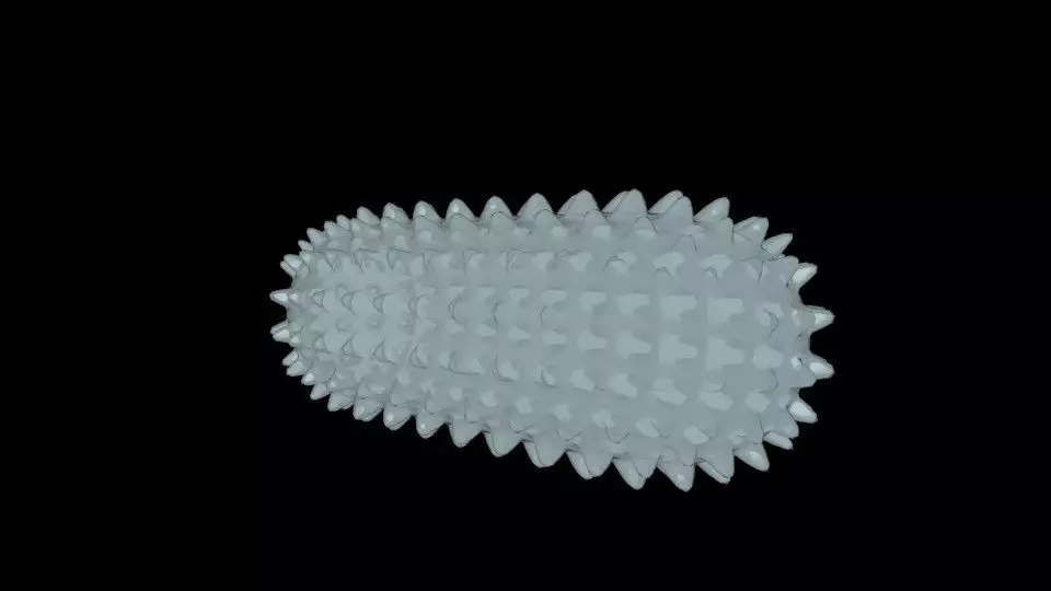 Micro Intruder 3D model