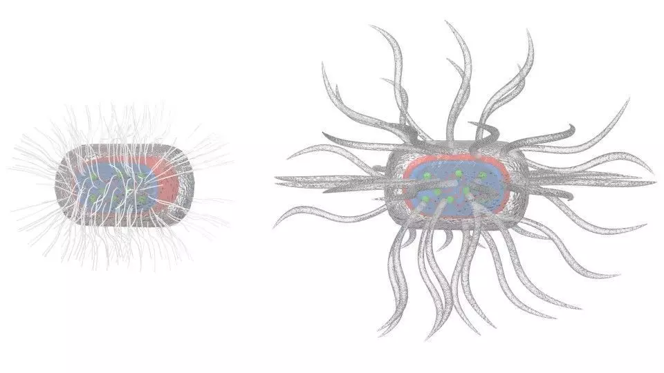 Micro Parasite 3D model