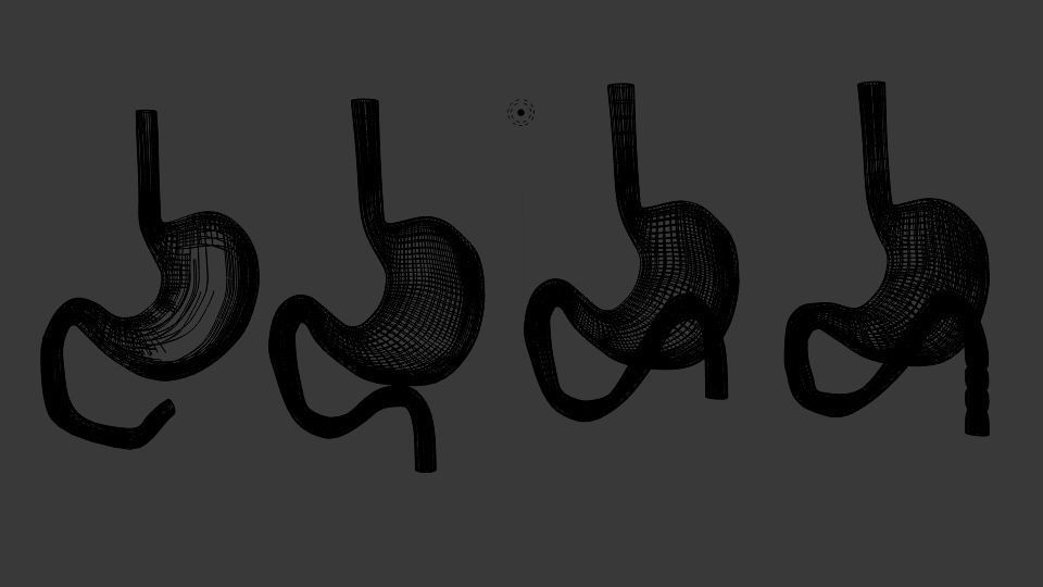  Curve Stomach Low-poly 3D model_5