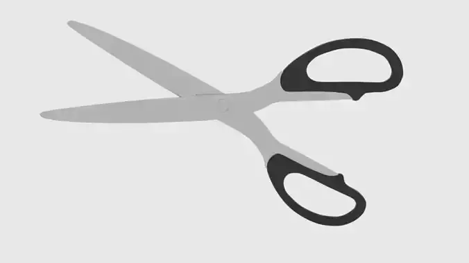 Scissors pair of