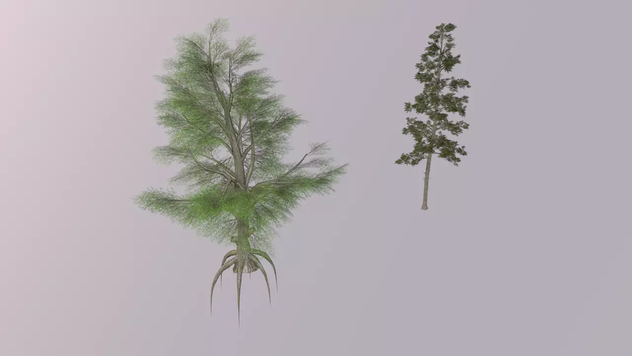 game ready low poly trees two Free low-poly 3D model