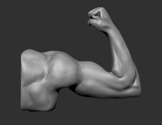Arm Sketch Free 3D print model