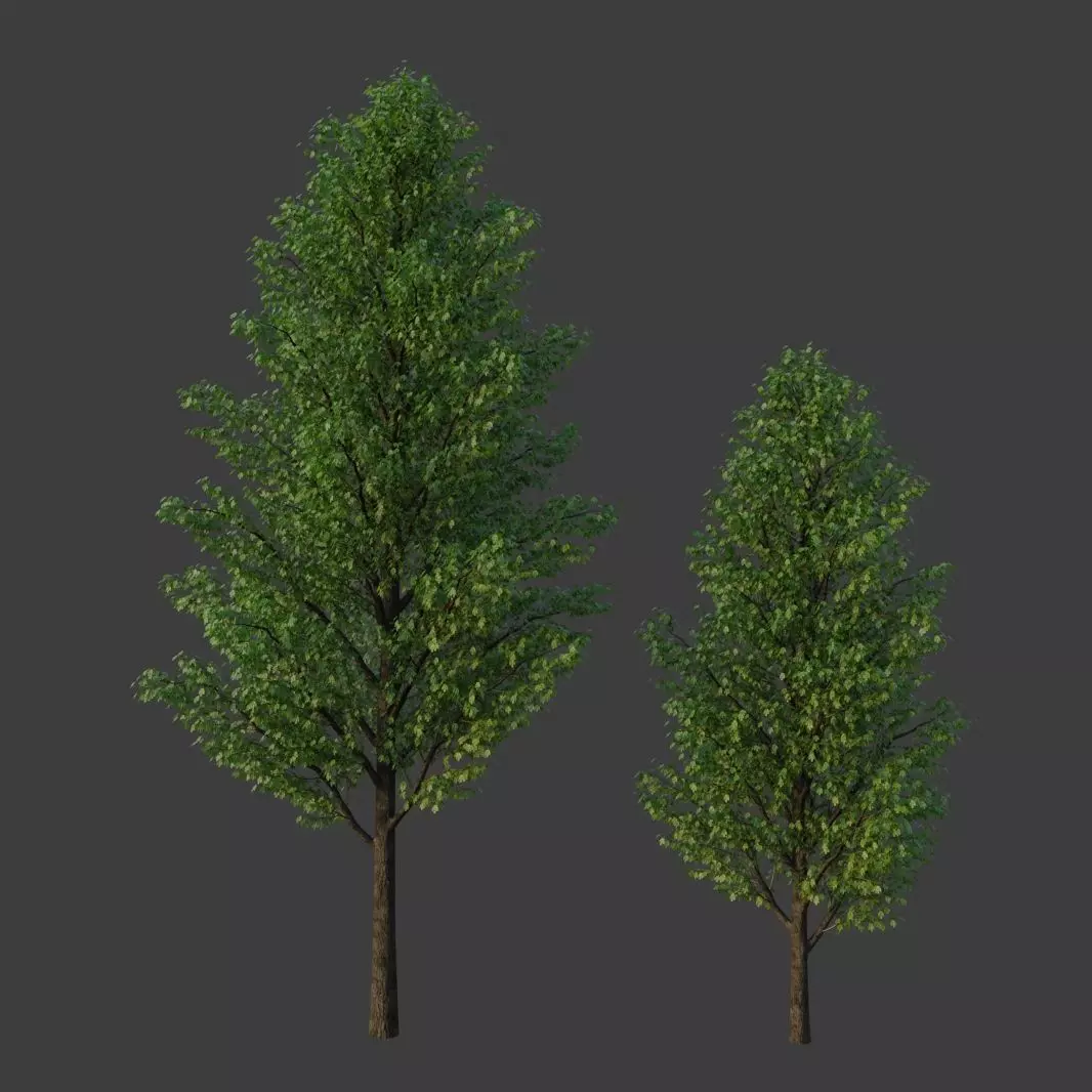 XfrogPlants Field Maple - Acer Campestre  3D model_0