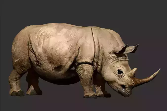 Rhino ZBrush ZTL Sculpt and Polypaint