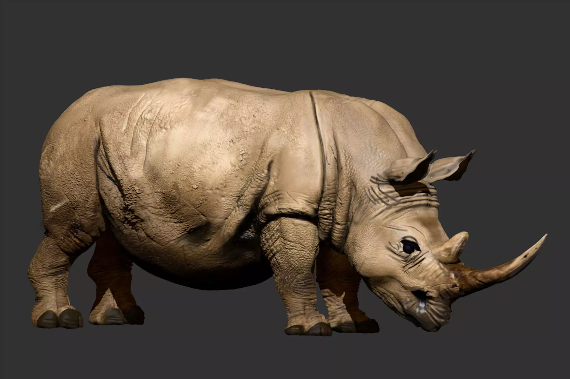 Rhino ZBrush ZTL Sculpt and Polypaint 3D model_0