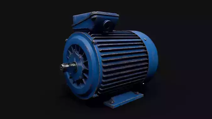 Industrial electric motor