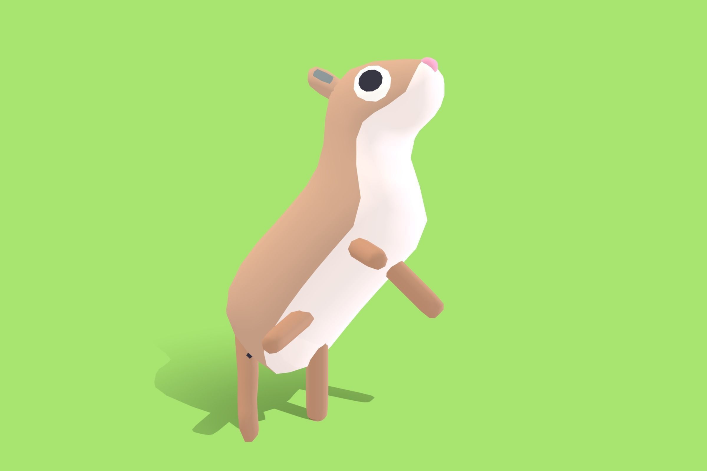 Cougar - Quirky Series Low-poly 3D model_7