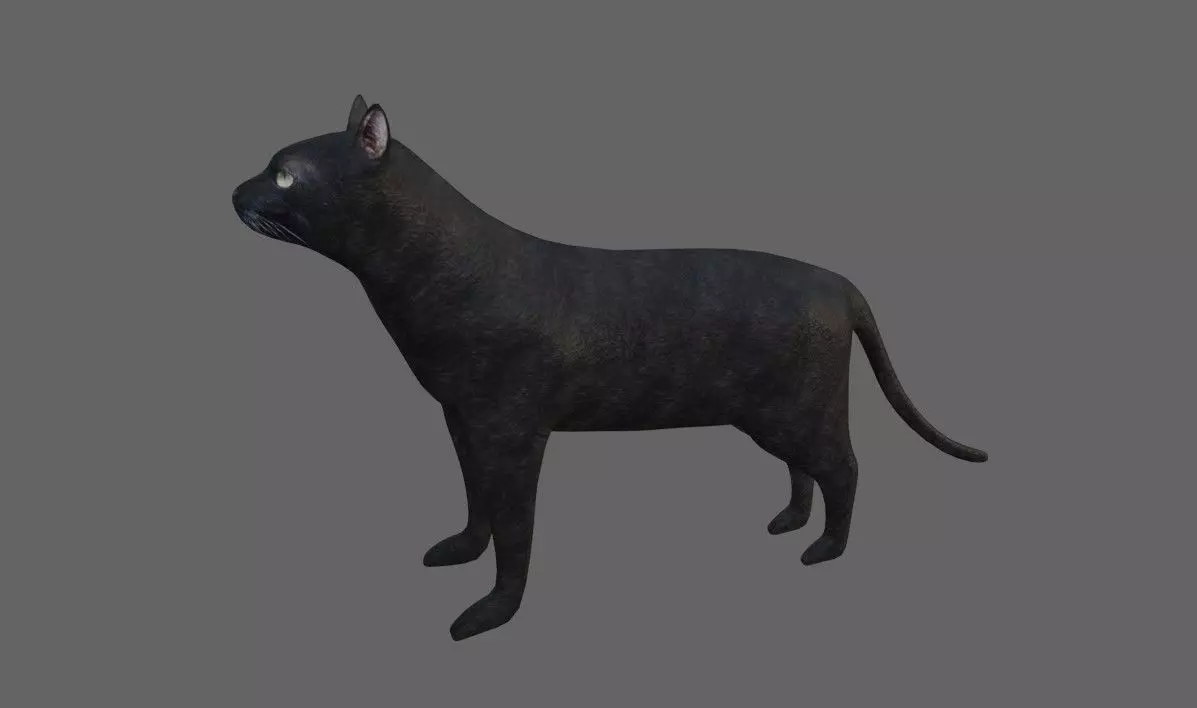 Black Cat - Low and High Detail - Gato Preto Low-poly 3D model