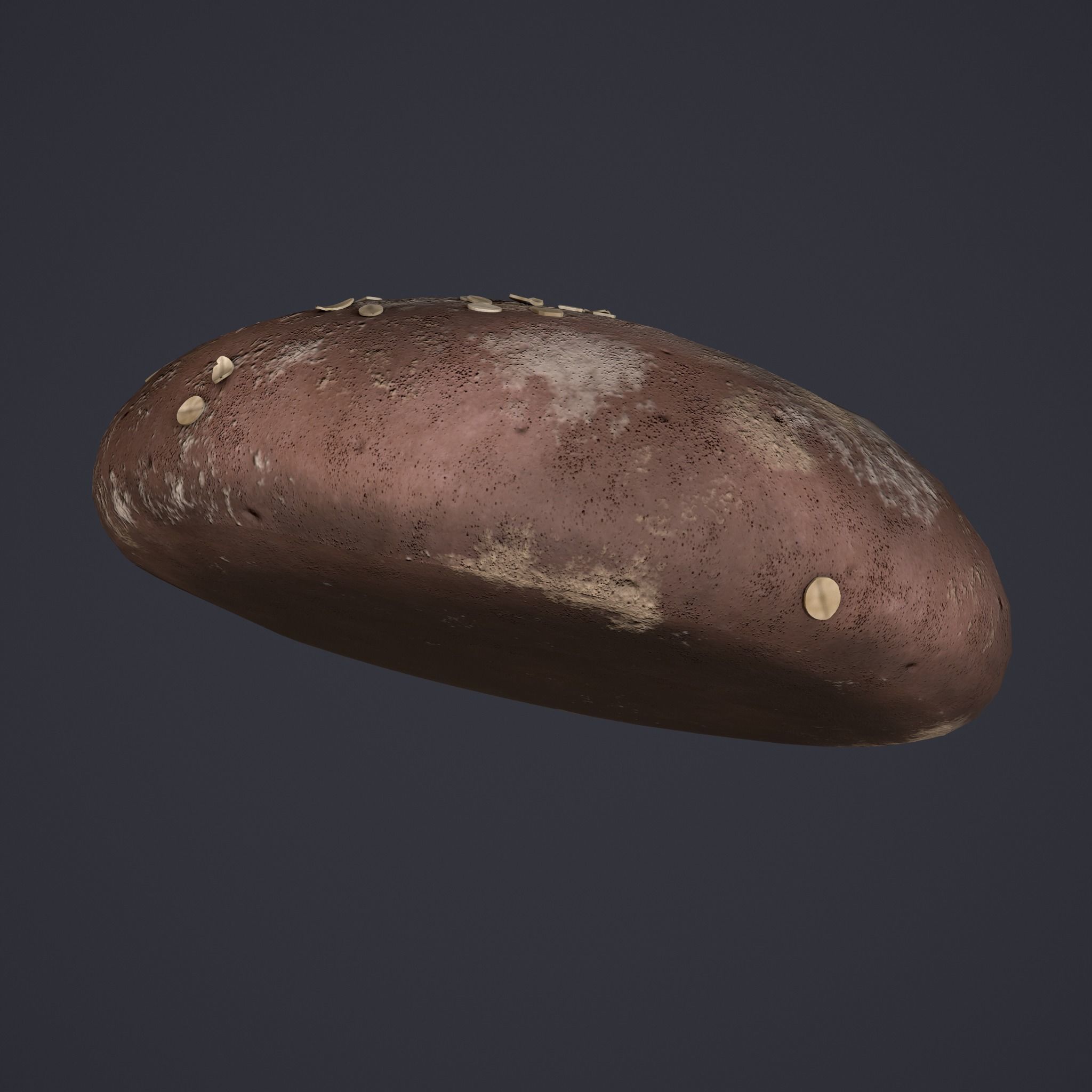 Medieval Style Oat Covered Stone Baked Bread Low-poly 3D model_14