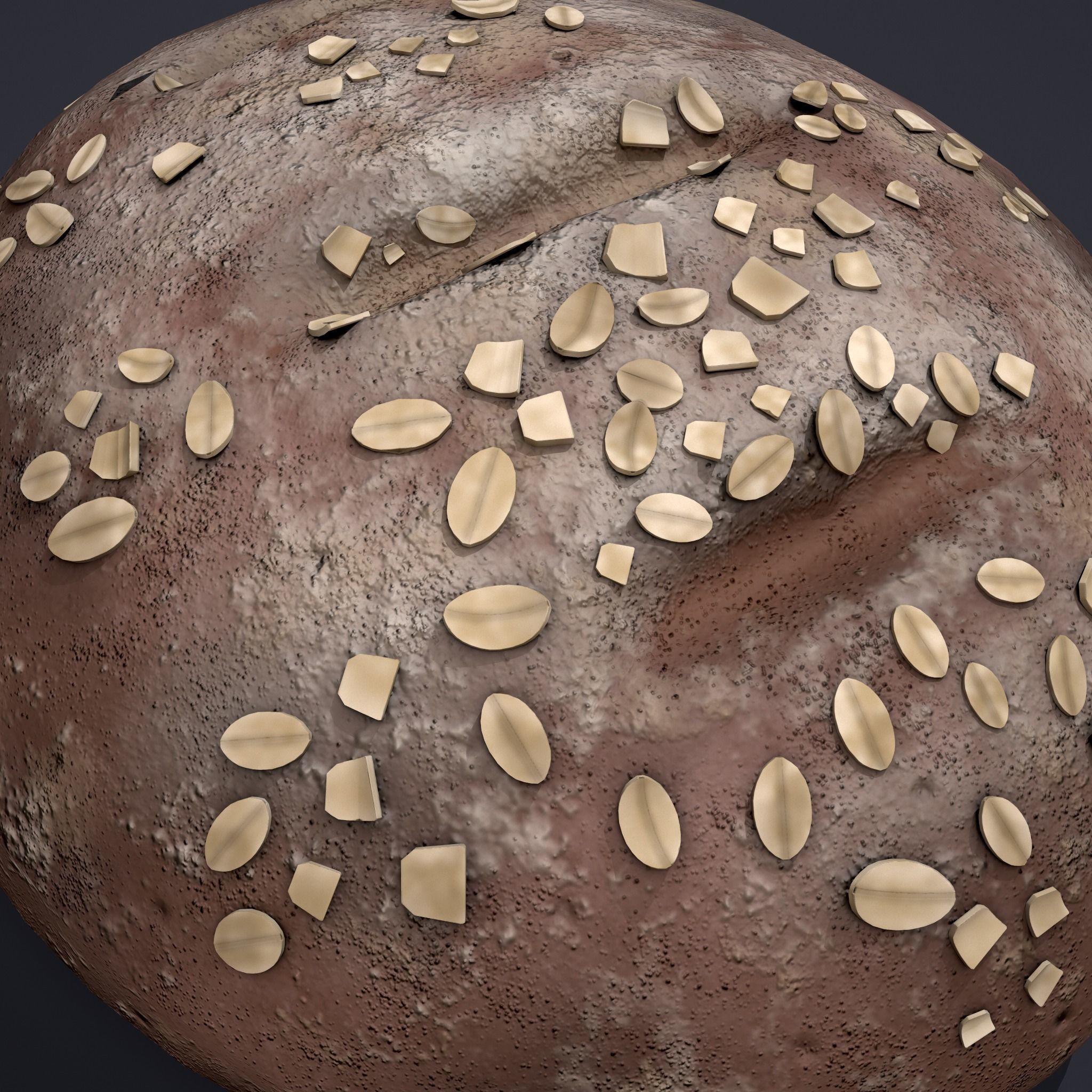 Medieval Style Oat Covered Stone Baked Bread Low-poly 3D model_18