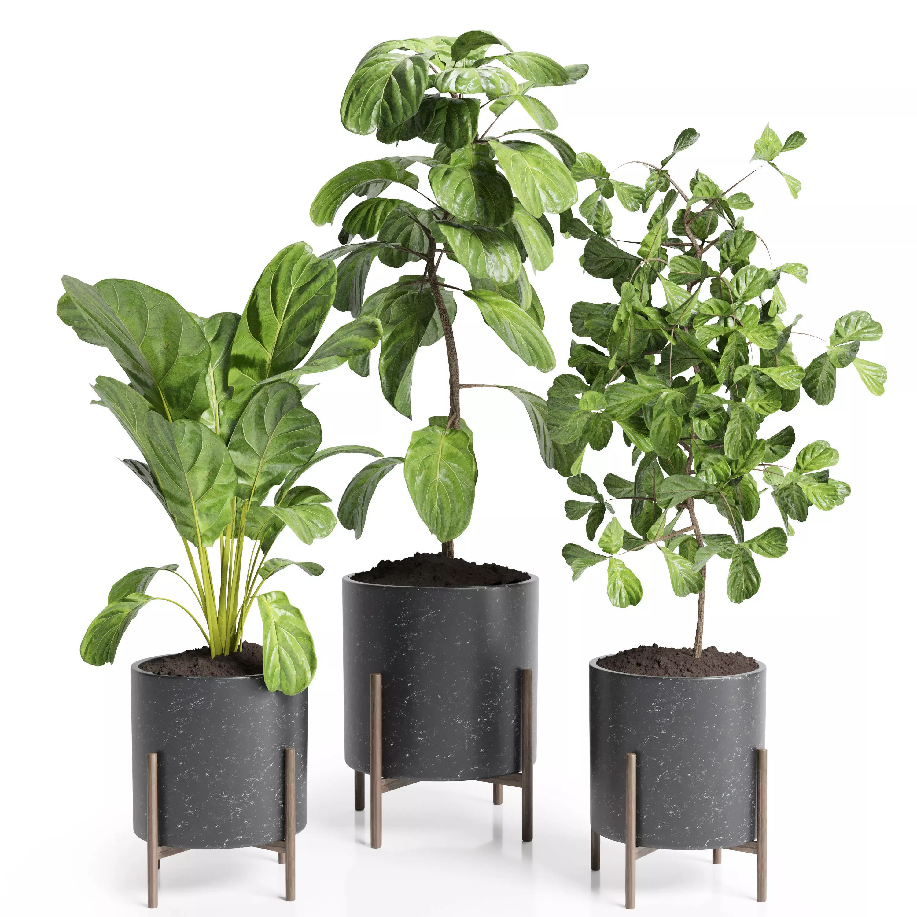 Indoor plants 25-marble vase 3D model