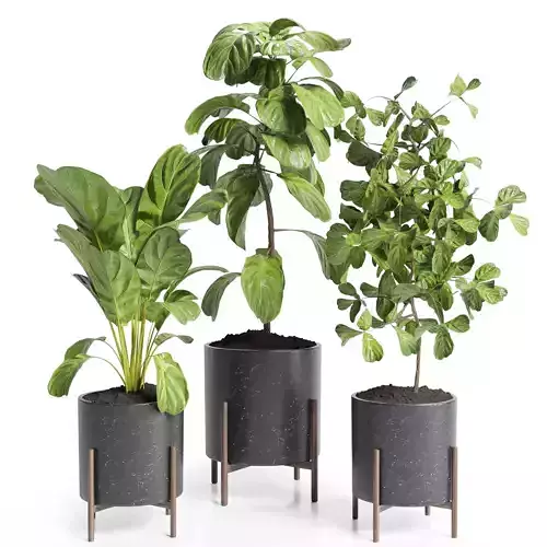 Indoor plants 25-marble vase