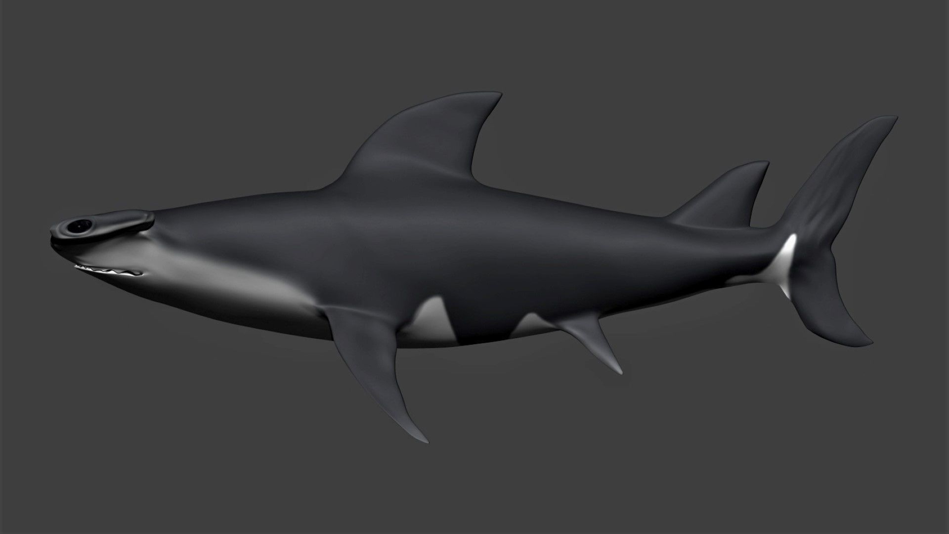 Hammerhead shark Low-poly 3D model_1