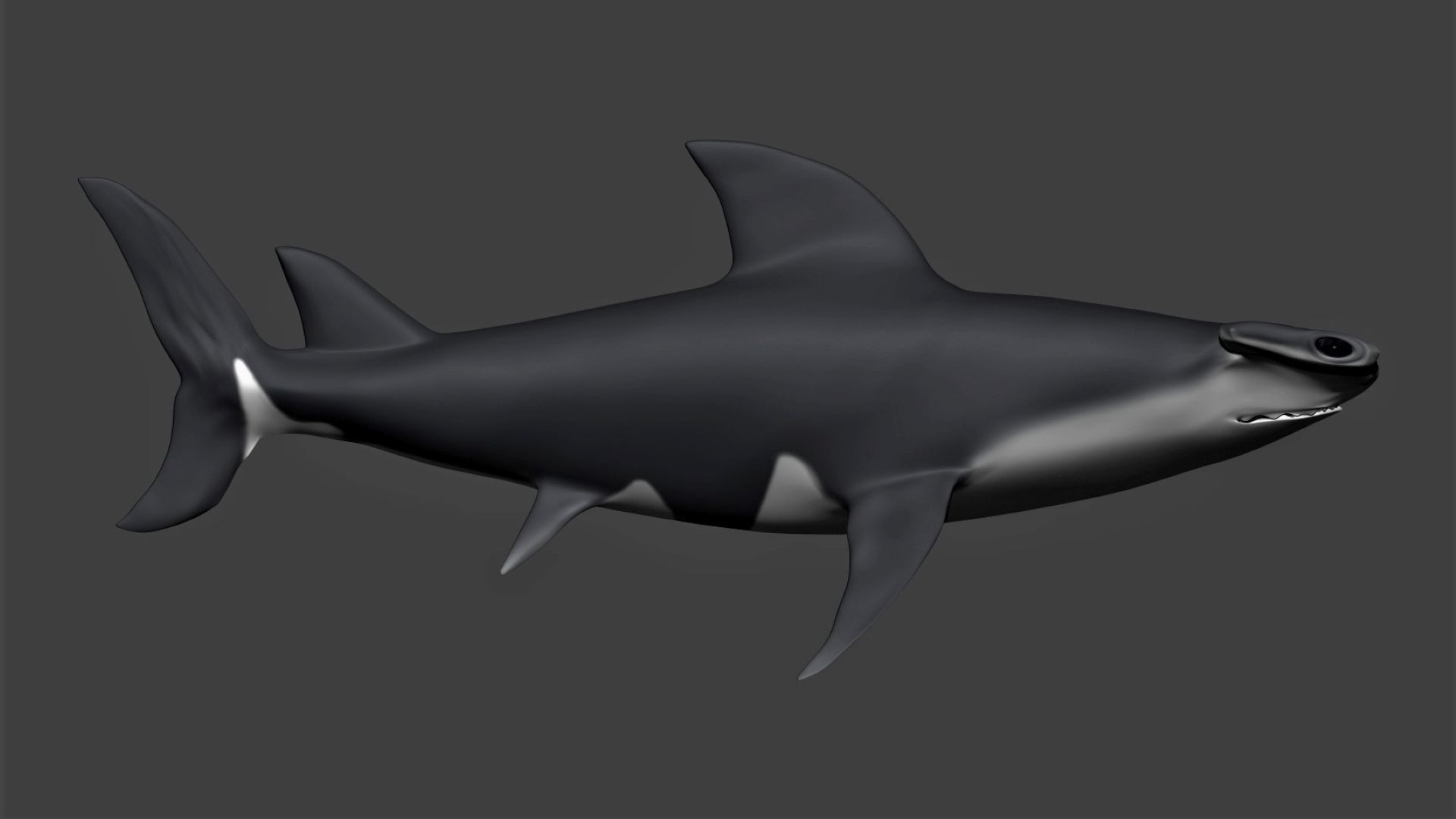Hammerhead shark Low-poly 3D model_3