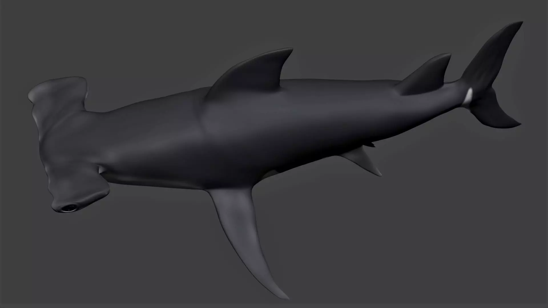 Hammerhead shark Low-poly 3D model_0