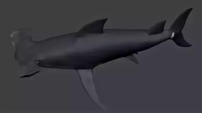 Hammerhead shark Low-poly 3D model