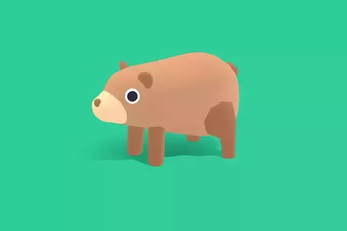 Bear - Quirky Series