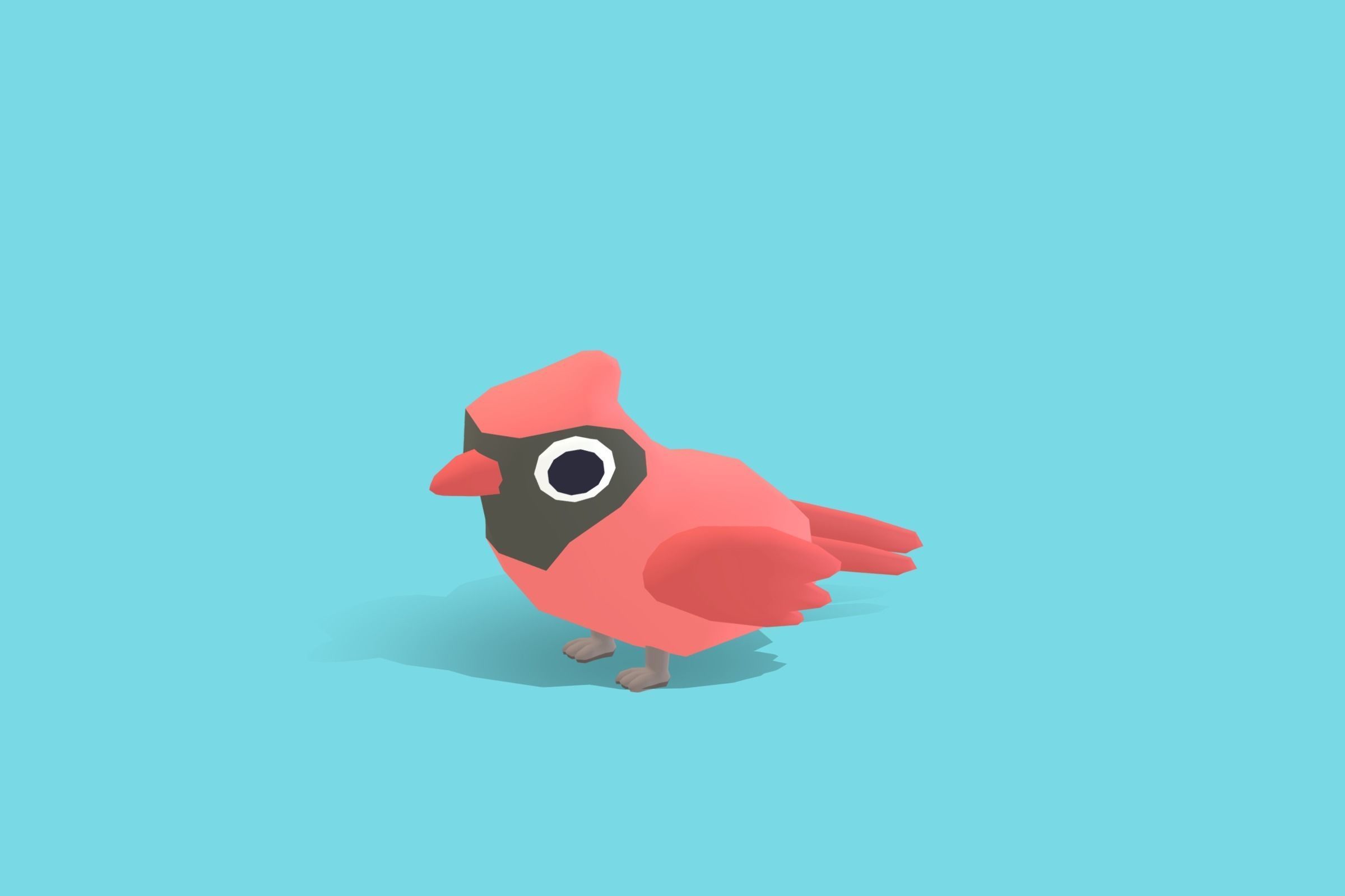 Cardinal - Quirky Series Low-poly 3D model_5