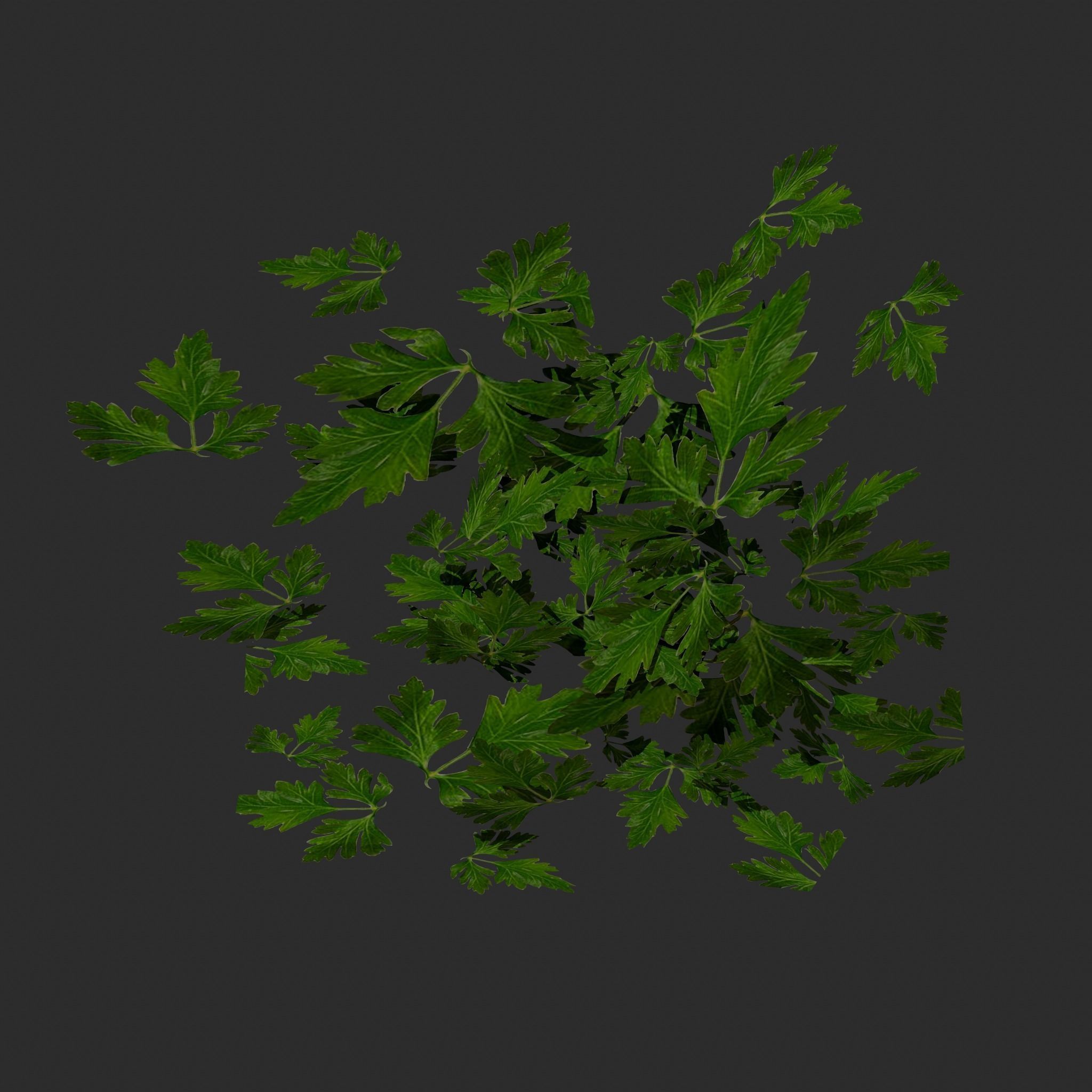 Medieval Style Beef Soup  Low-poly 3D model_39