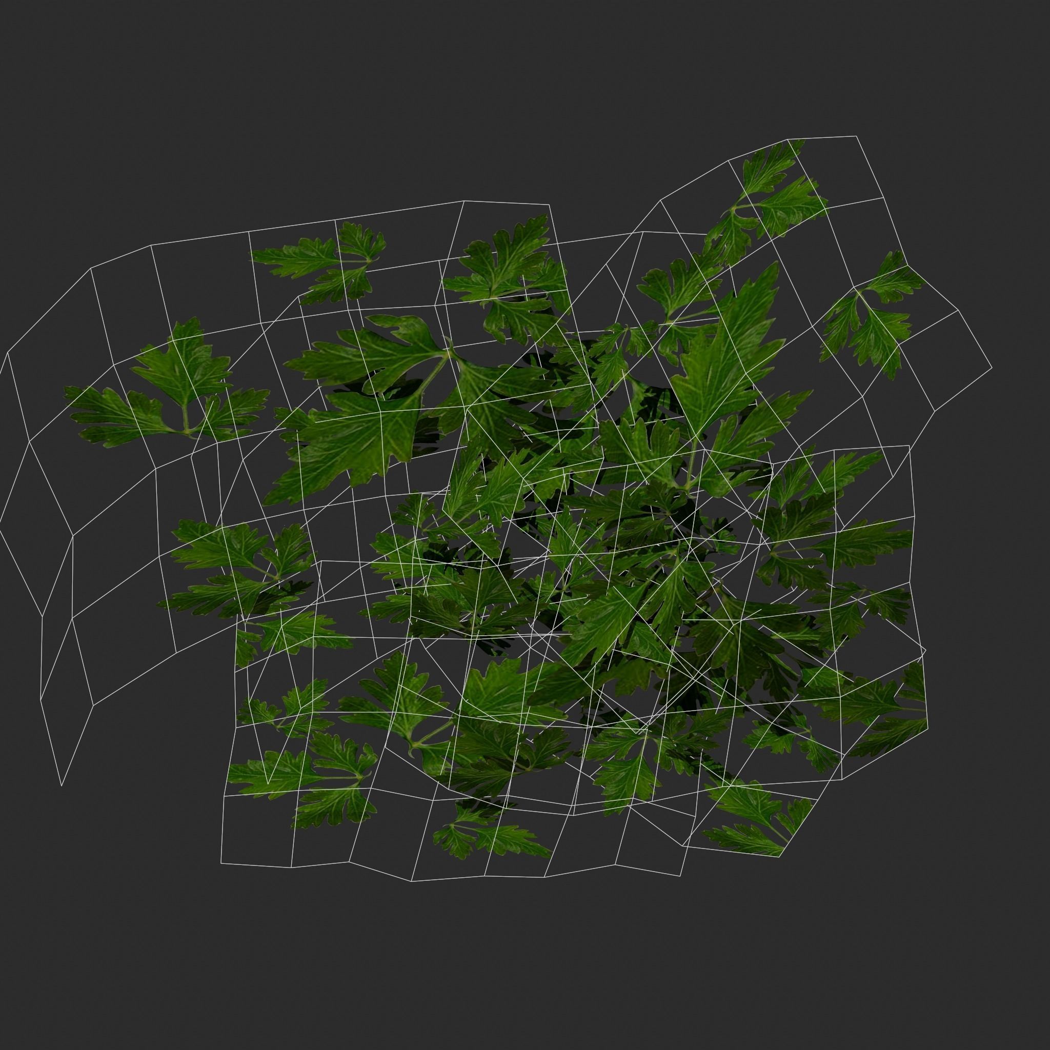 Medieval Style Beef Soup  Low-poly 3D model_40