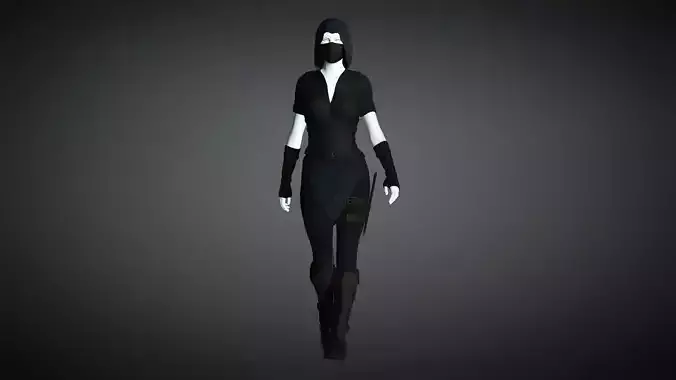 The Rogue - Fantasy Style Armor