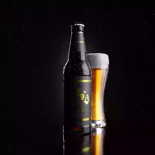 Beer Bottle and glass Realistic 
